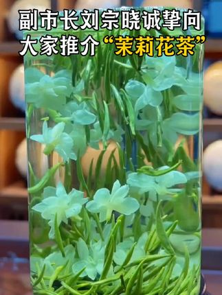 2025新茶茉莉飘雪来咯 六次窨制!#茉莉花茶 茉莉花茶又称茉莉香茶,属再加主要步骤,使茶香与茉莉花香融合在一工茶。。,以“摊青、揉捻、烘焙民窨制”茉莉花茶其外形兼具绿茶的条索紧结和茉莉花的圆紧壮实;干茶色泽翠绿,自带白色茉莉花瓣,茶汤清澈明亮,冲泡后茶香浓郁清高,滋味鲜爽甘醇,具独特的花韵!口感真的太好啦 !!快安排起来叭 #召唤茶友 #口感非常好 #今天你喝茶了吗 #茶香四溢