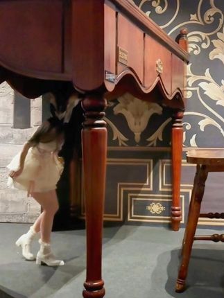 糟糕!我变小了 #大英图书馆世界像素展 #lolita #童话镇