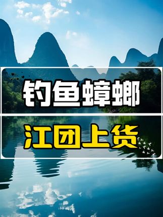 来咯来咯,钓鱼蟑螂来咯!上货一枚小团团,#钓鱼 #野钓 #蟑螂 #江团