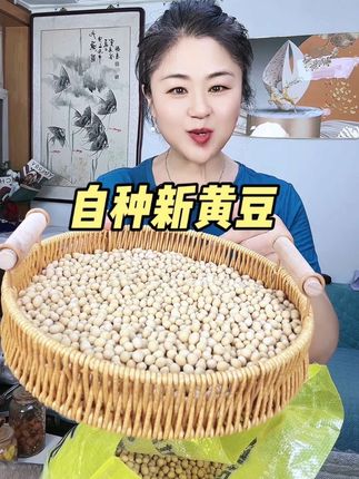 24年新黄豆5斤装黑龙江高蛋白豆腐大豆专用豆浆豆芽农家非转基因#东北黄豆 #优质农产品 #超便宜超划算 #抖音助农