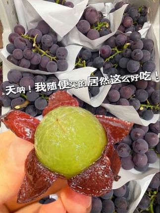 姐妹们,这个葡萄真的太好吃了,你们一定要去尝尝!它是大泽山的老品种巨峰葡萄,颗颗饱满,咬一口酸酸甜甜的,汁水超丰富,每一串都沉甸甸的,分量很足。都是果农新鲜采摘,顺丰冷链发货,收到还特别新鲜,夏天天气热,放在冰箱里冰镇一下再吃,口感更绝!#优质农产品 #这也太好吃了 #快来一起尝个鲜 #应季水果 #巨峰葡萄