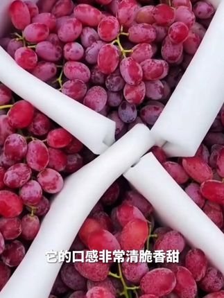 中秋特惠【29.9抢4斤】冰美人克伦生无籽红提#脆甜多汁 #克伦生无籽红提 #新鲜应季水果 #超便宜超划算 #你的中秋团圆搭子前来报道