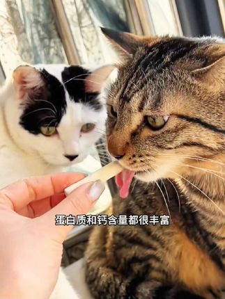 #宠物零食 冻干羊奶棒#狗零食 #猫零食