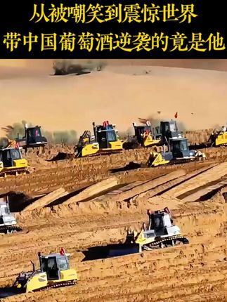 来自贺兰山脚下的国货之光,不输国外大牌的国产葡萄酒! #贺兰山葡萄酒