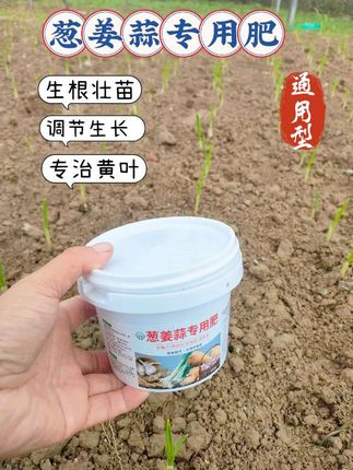葱姜蒜专用肥 种葱姜蒜的老铁们看过来,想要葱姜蒜长得好,又粗又壮的,施肥技巧要记牢!出苗后十五天开始用葱姜蒜专用肥,每隔半个月撒一次,均匀洒在植株周围,不仅能补充养分,还能让葱姜蒜储存更多的营养,后期才能长得好,增产高产,提前采收,多卖钱,就用这个葱姜蒜专用肥。它是根据葱姜蒜生长习性研发定制,满足各个阶段生长需求,现在价格非常便宜,需要的点击下方小黄车下单购买吧!#葱姜蒜专用肥#营养丰富#不烧根不烧苗#肥效持久#抖音助农扶农
