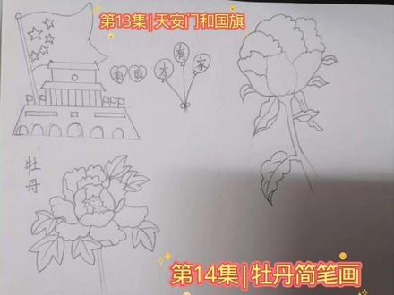 第14集|牡丹花简笔画 #手绘画 #dou上热门🔥
