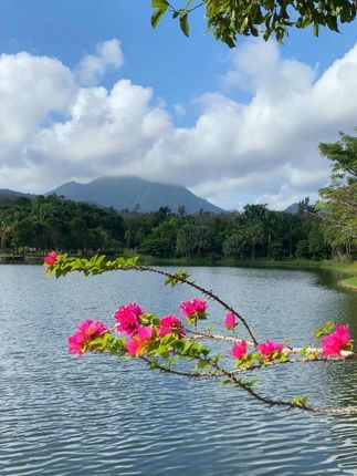 美丽中国 美在山水间,醉美是海南。发一个海南库存视频#风景如画的地方 #随手一拍都是美景 #兴隆热带花园