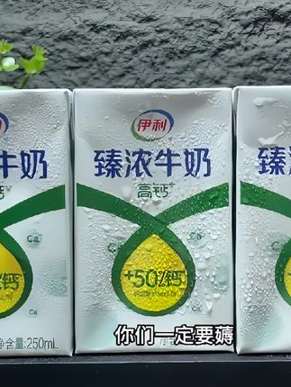 伊利臻浓纯牛奶入口醇香丝滑,奶味十足完全没有奶腥味搭配早餐下午茶都超适合#牛奶 #谁懂啊真的很好喝 #超便宜超划算 #我可真会买 #伊利臻浓高钙牛奶