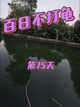 #路亚 #钓鱼 #路亚野钓 #微物路亚 #之字狗@彩虹路亚 @熊王路亚 BEARKING @Lureartisan渔则成 @乃熊熊路亚