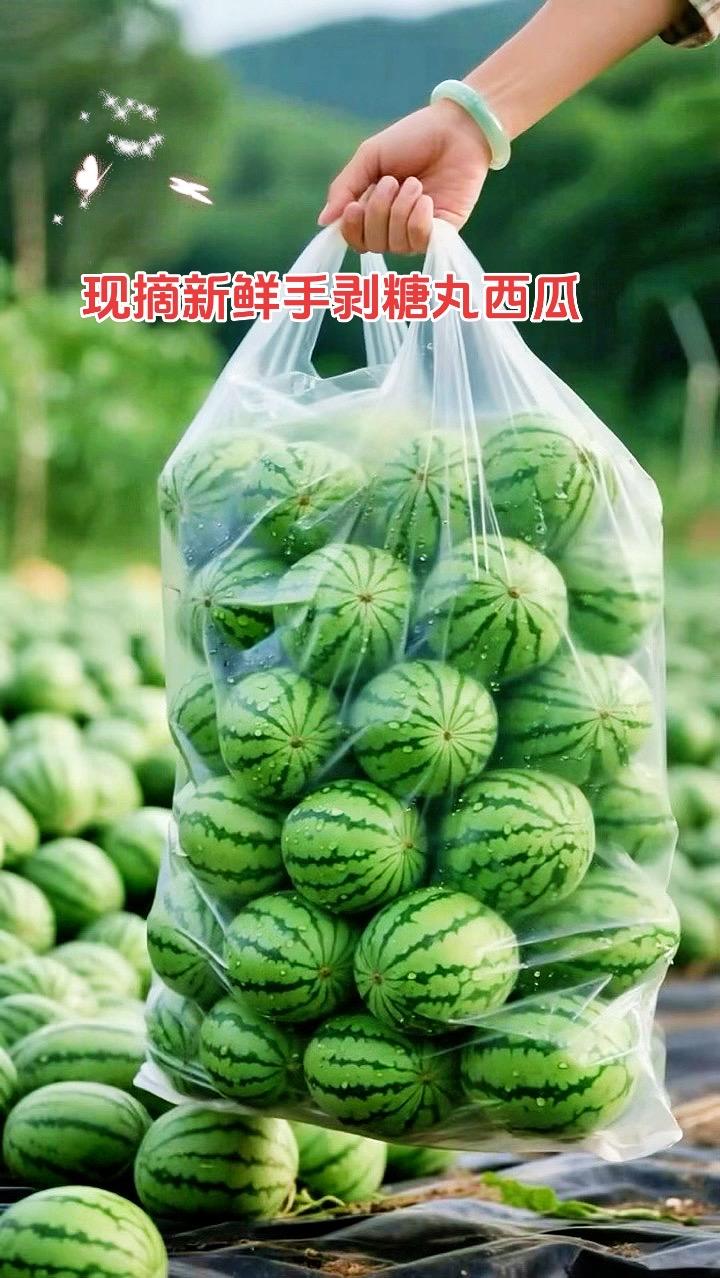 现摘现发新鲜手剥糖丸西瓜,脆甜多汁。现摘新鲜手剥糖丸西瓜,它的瓜皮薄如蝉翼,透光性极佳,隔着薄皮就能清楚看到内里饱满的艳红果肉,凑近一闻,清新的果香立刻萦绕鼻尖,悄悄抚平暑气带来的烦躁。牙齿刚触碰到瓜肉,浓郁的甜意便在口腔中蔓延,满是夏天独有的清爽与惬意。这瓜的薄皮甚至能看清果肉的细腻纹路,红瓤紧实还无籽,手指轻轻一掰,“咔嚓”一声脆响,徒手开瓜的乐趣直接拉满。软嫩的瓜肉入口即化,嚼起来像含了颗超甜的糖块,不用吐籽的畅快体验,试过一次就再也忘不了。放进冰箱冷藏半小时,咬上一大口,冰润的汁水在嘴里迸发;挖成小块用勺子舀着吃,每一口都凉到心底,把夏天的燥热彻底驱散~#西瓜 #应季水果 #快来一起尝个鲜 #手剥糖丸西瓜#超便宜超划算@DOU+小助手 @DOU+上热门