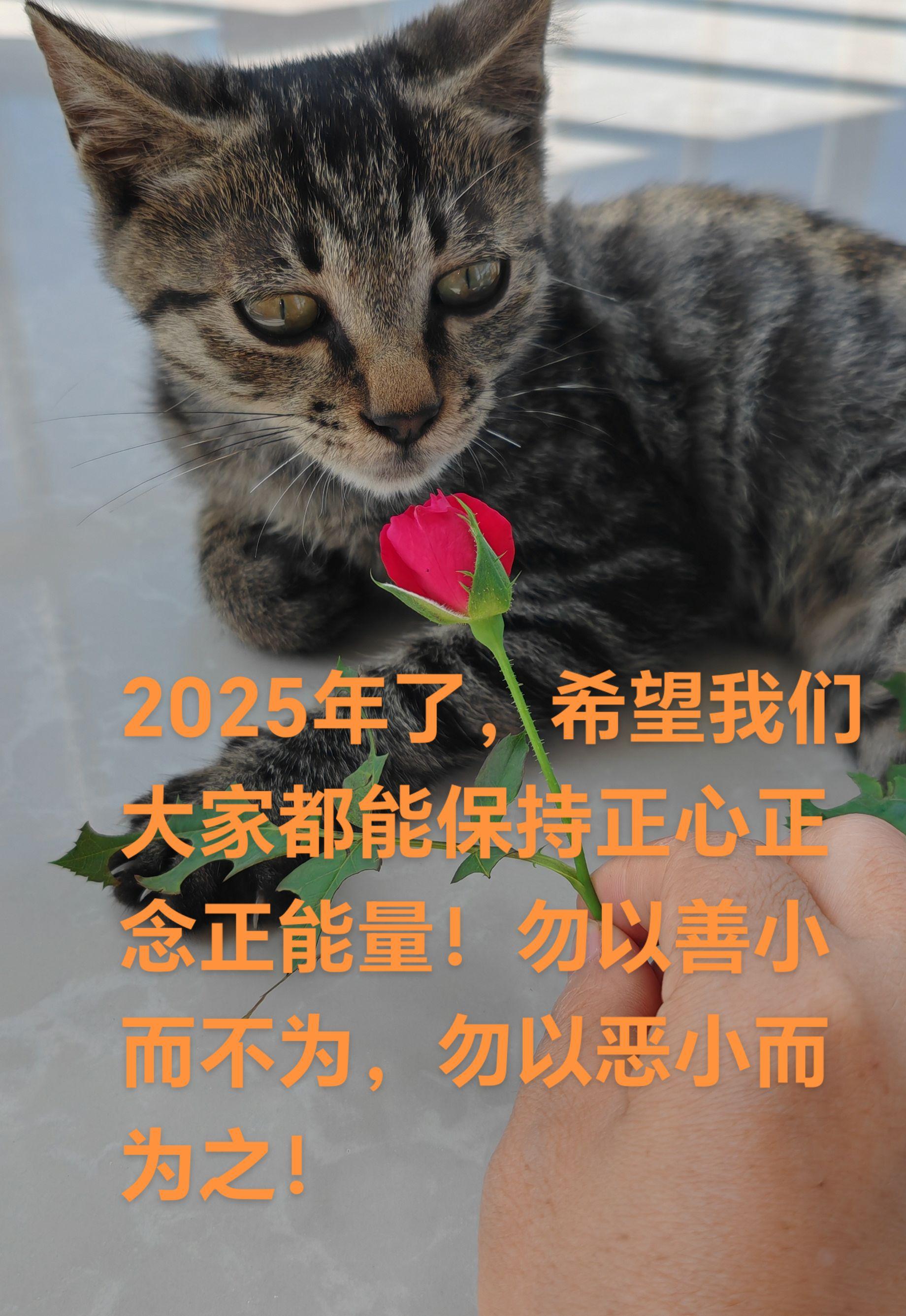 正心正念正能量#邪不压正