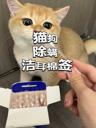 在家给猫狗清洁耳螨可以用这种除螨棉签,自带洁耳液,一盒50支可以用很久,便宜又好用#除螨滴耳液 #猫狗耳螨 #耳螨 #开颜宠物 #科学养宠攻略