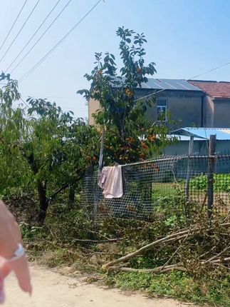 慌什么,才三十几岁而已,大姨妈还在,继续装嫩继续 中年是年龄,少女是心态,努力把自己活成自信满满的中年少女!#记录生活 #农村老家 #自拍自乐