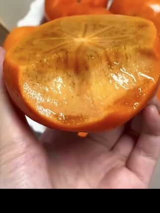 终于等到脆柿子上市了,又脆又甜满满的糖心,每一口都是嘎嘣脆,真的太爱了!#脆柿子 #巧克力柿子 #现摘现发新鲜到家 #快来一起尝个鲜
