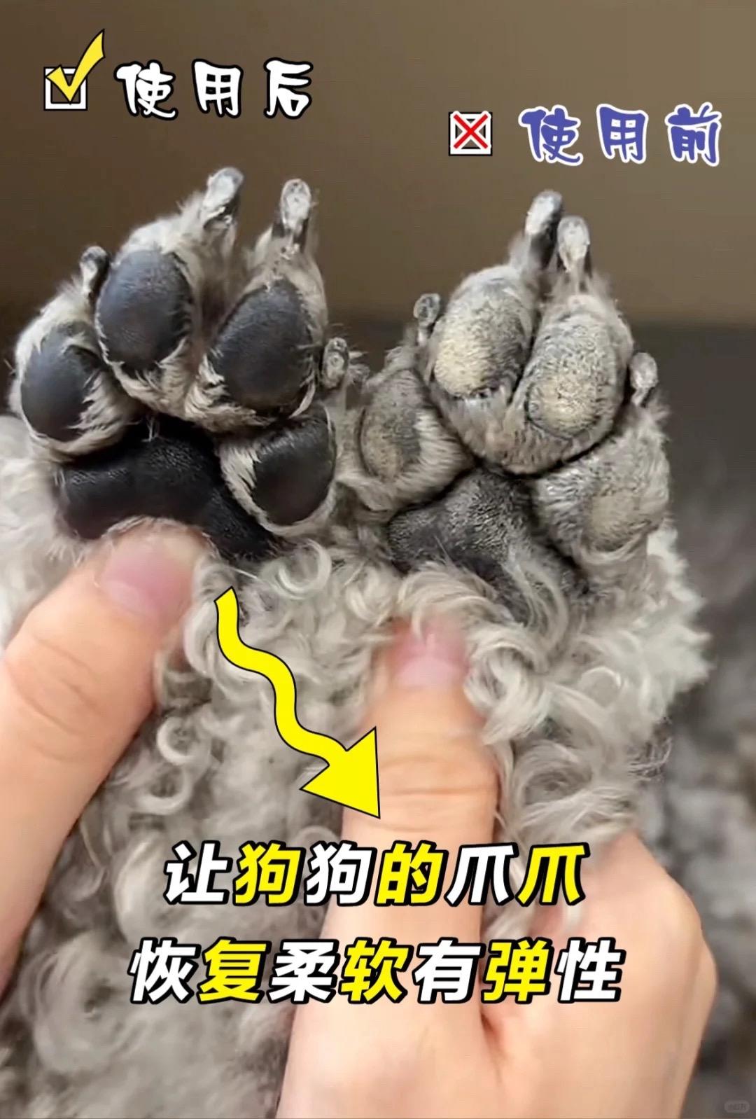秋季天气干燥,狗狗的脚垫也会发干长倒刺,可以给狗狗涂润足膏,植物萃取舔舐无忧有效锁水保湿,滋润受损肌肤,预防干裂起皮倒刺#宠物润脚膏#科学养宠攻略#萌宠出道计划#宠物润足膏 #新手养狗