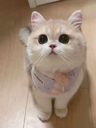 #把生活拍成电影#小妙招大作用生活小妙招#仙女必备#生活小妙招每日更新
