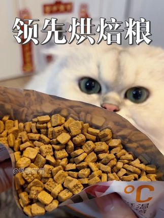 领先的烘焙猫粮有活动了,高肉高蛋白 很适合瘦瘦不长肉的小猫咪 ~#猫粮#领先烘焙粮#养猫经验分享
