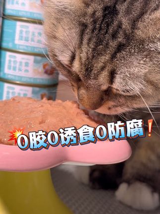 29.9的主食罐,你确定不给猫咪尝尝吗,营养全面代替干粮哦#萌宠好物 #主食罐 #poroca #广告
