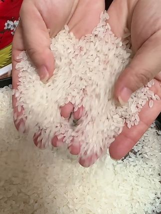 东北五常大米,带着黑土地的滋养。米粒饱满匀整,透着自然的莹白。煮时米香慢慢漫开,饭粒油亮黏软,抿在嘴里有清甜回甘。配着咸菜吃,或是就着家常菜,都能衬出米饭本味。这碗米里,藏着五常的水土情,一口是实在的满足感。#东北五常大米#香米#好吃不贵 #助农#好东西一起分享