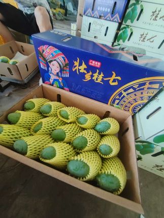 桂七最后十几天,再不下手等一年了#桂七 #桂七芒果 #田东桂七