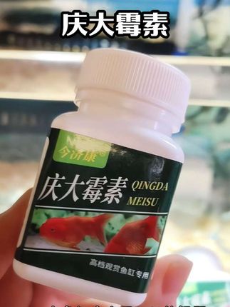 庆大霉素养鱼常备#庆大霉素 #养鱼日记 #养鱼经验分享 #新手养鱼 #观赏鱼