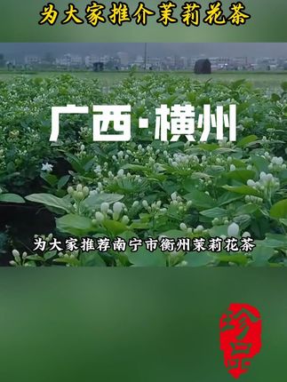 #我为家乡农产品代言 #召唤茶友 #今天你喝茶了吗 #茶香四溢 #茉莉花茶