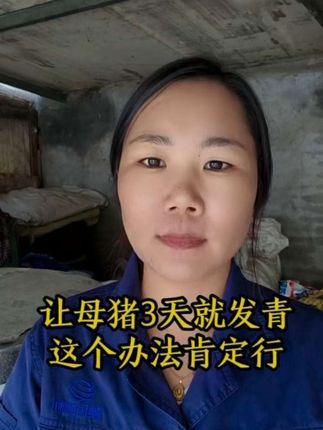 让母猪3天就发情,这个办法肯定行#养猪人 #母猪不发情#母猪不静立#母猪不发青一招解决