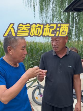 我叔和我大爷真是喝中这个酒了 今天到手一箱几十块钱口感真心不错价格实惠#人参枸杞酒