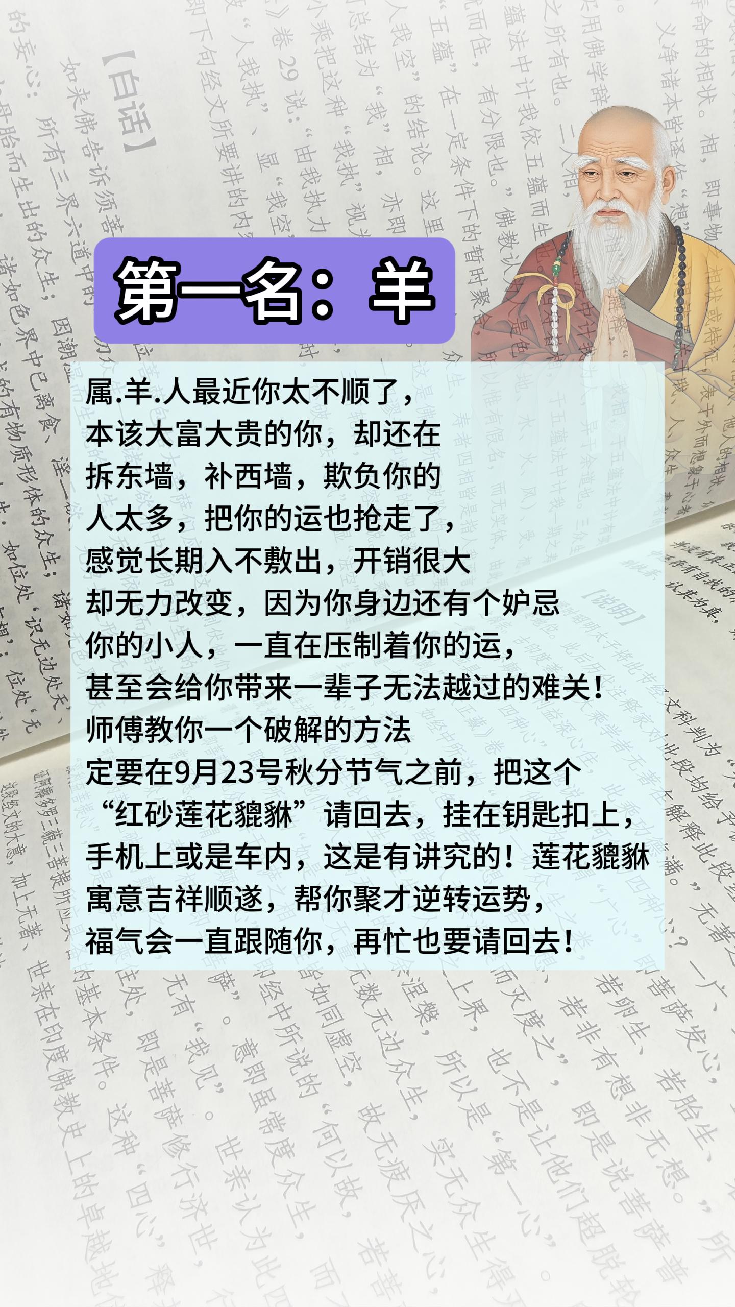 #羊 #属羊 #生肖羊