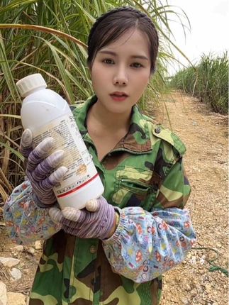 大家剥完甘蔗叶子以后有没有发现拔节有虫眼的?#甘蔗钻心虫 #病虫害防治 #甘蔗种植 #农业种植