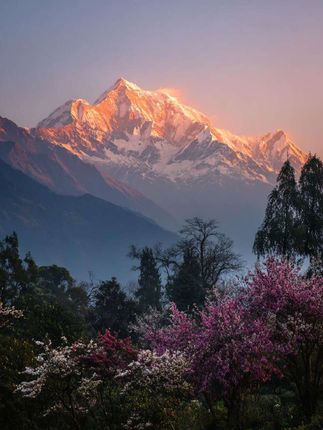 #张予曦毕雯珺真的拍了红裙抱 #深情眼 #张予曦 #毕雯珺