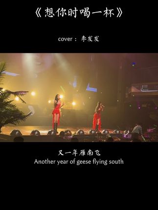 “想你时喝一杯 才懂相思惹人醉,今生爱你一回 才懂什么是心碎,又一年雁南飞 雁叫声声催人泪,想问远方的你想起我了没…”