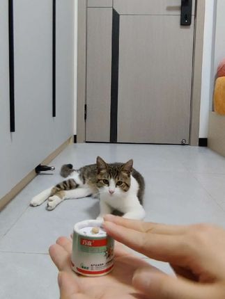 这个能快速驱杀家中常见的白蚁,苍 蝇、蚊子、蟑螂、蚂蚁、跳蚤、潮虫、蜘蛛、蜈蚣等上百种害虫#灭蟑螂#杀虫 #除螨 #白蚁防治