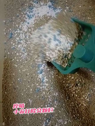 #养猫人 #养狗,摩啃小苏打除臭颗#宠物用品 粒