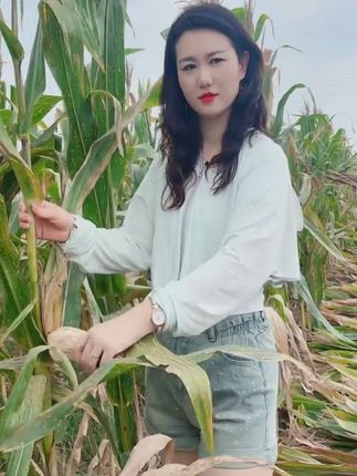 #掰玉米#我的乡村生活