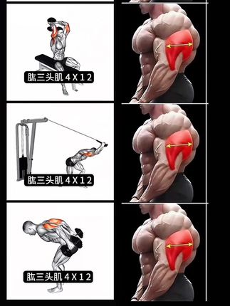 居家手臂💪训练,自己瞎练一年不如学后练一个月,健身少走弯路#居家锻炼#手臂训练 #三头肌 #健身教学#三头肌训练