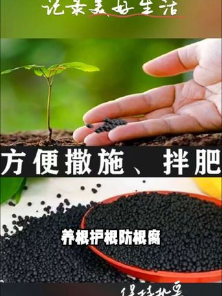 强力生根颗粒有机肥料生根壮苗养根护根防根腐强力生根壮苗剂#糖小肆 #杭州柯林 #领尚广告 #布吉三联