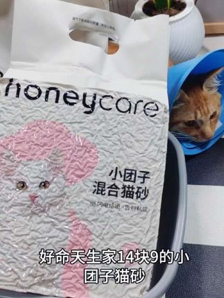 好命天生小团子猫砂,老粉都喜欢的猫砂,活动来了#好命天生小团子猫砂 #豆腐混合猫砂 #猫砂测评 #新手养猫 #好物推荐🔥