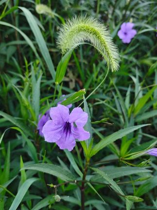 #高级感穿搭 #谁穿谁好看 #穿出自己的风格 #怎么穿显气质 #冬日穿搭测评 @抖加🔥上热门🔥dou+🔥热点宝