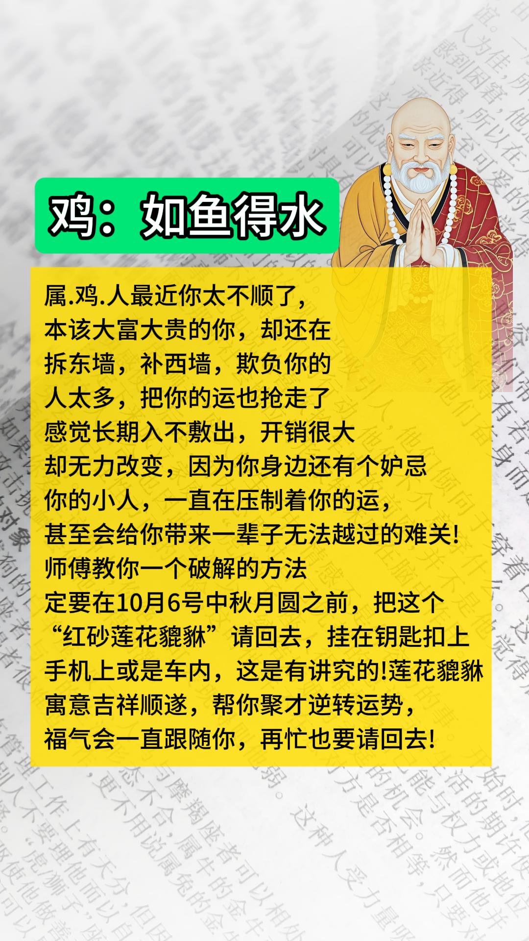 #1969年的鸡 #1981年的鸡 #1993年的鸡