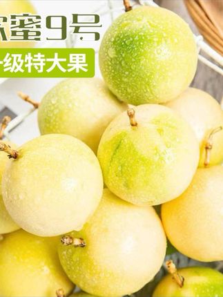 【顺丰快递】现摘广西精品特大钦蜜9号黄金百香果香甜多汁新鲜水果#质量好#好产品分享