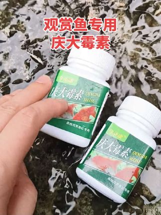 #新农人计划 #养殖人加油 #水产养殖 #水产养殖技术 #抖音助农