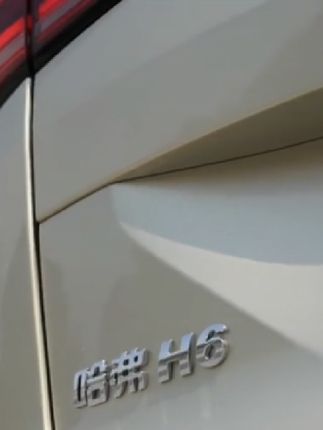 车辆后备箱缝隙大 容易进灰尘和残枝树叶,时间长了腐烂发臭 还会堵排水口,越野走烂路里面也全是泥沙灰尘,可以装上这款后备箱密封条,防尘防止异物掉进去#车品 #密封条#哈弗 #后备箱密封条 #哈弗大狗