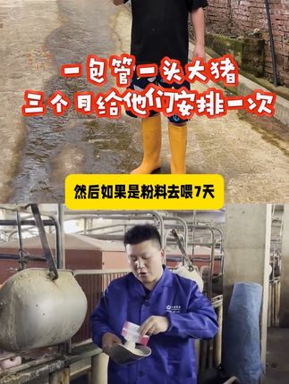 #养猪人 #喂猪人的日常生活不容易 #自繁自养母猪 #农村养殖 #所有养猪人