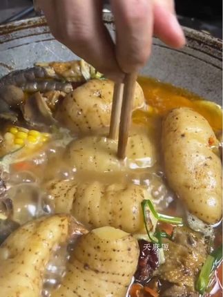 #天麻煲汤汤鲜味美 #为你煲汤广东靓汤 #煲汤日记 #煲靓汤分享 #大山里的味道 冬吃萝卜夏吃姜,不如来碗天麻汤!都知道天麻用来煲鸡汤煲排骨汤都很好吃的。汤香味美有营养,喜欢吃的朋友可以带回家尝尝