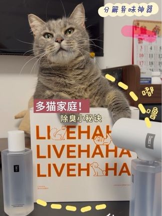 别担心养猫会有味道啦!我家三只猫 家里从来不会臭烘烘的!#栗哈哈除臭喷雾 #养猫好物 #科学养宠攻略 #萌宠好物