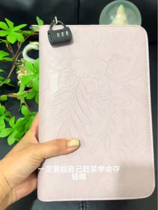 努力攒钱,我又心动了#存钱 #攒钱 #现金 #存单夹 #证件夹