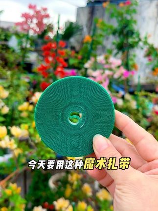 绿植花卉固定自粘绷带藤蔓园艺捆扎线植物扎带#花卉绿植 #三角梅捆扎带#花卉固定扎带 #魔术扎带 #魔术扎带固定器
