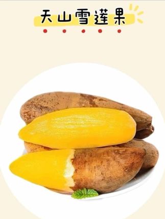 清脆清甜又爽口~汁水还特别多,果肉细腻无渣真的巨巨好吃!新鲜现挖现发,真的可以安排和家人一起尝尝!品质真的特别好!#雪莲果 #雪莲果成熟了 #雪莲果煲汤 #雪莲果吃法 #天山雪莲果