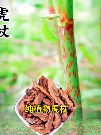 #纯植物虎杖#虎杖#抖音好物推荐#好物推荐🔥